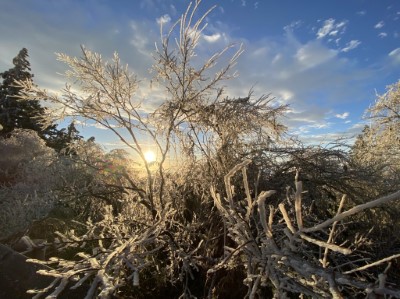 太平山國家森林遊樂區霧淞 美翻了3